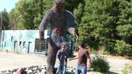 DVD Review: The Bigfoot Tapes More found footage nonsense